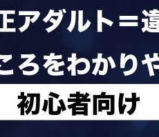 【初心者向け】無修正アダルト＝違法？本当のところをわかりやすく解説